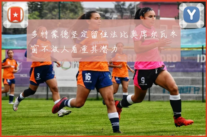 多特蒙德坚定留住法比奥席尔瓦冬窗不放人看重其潜力